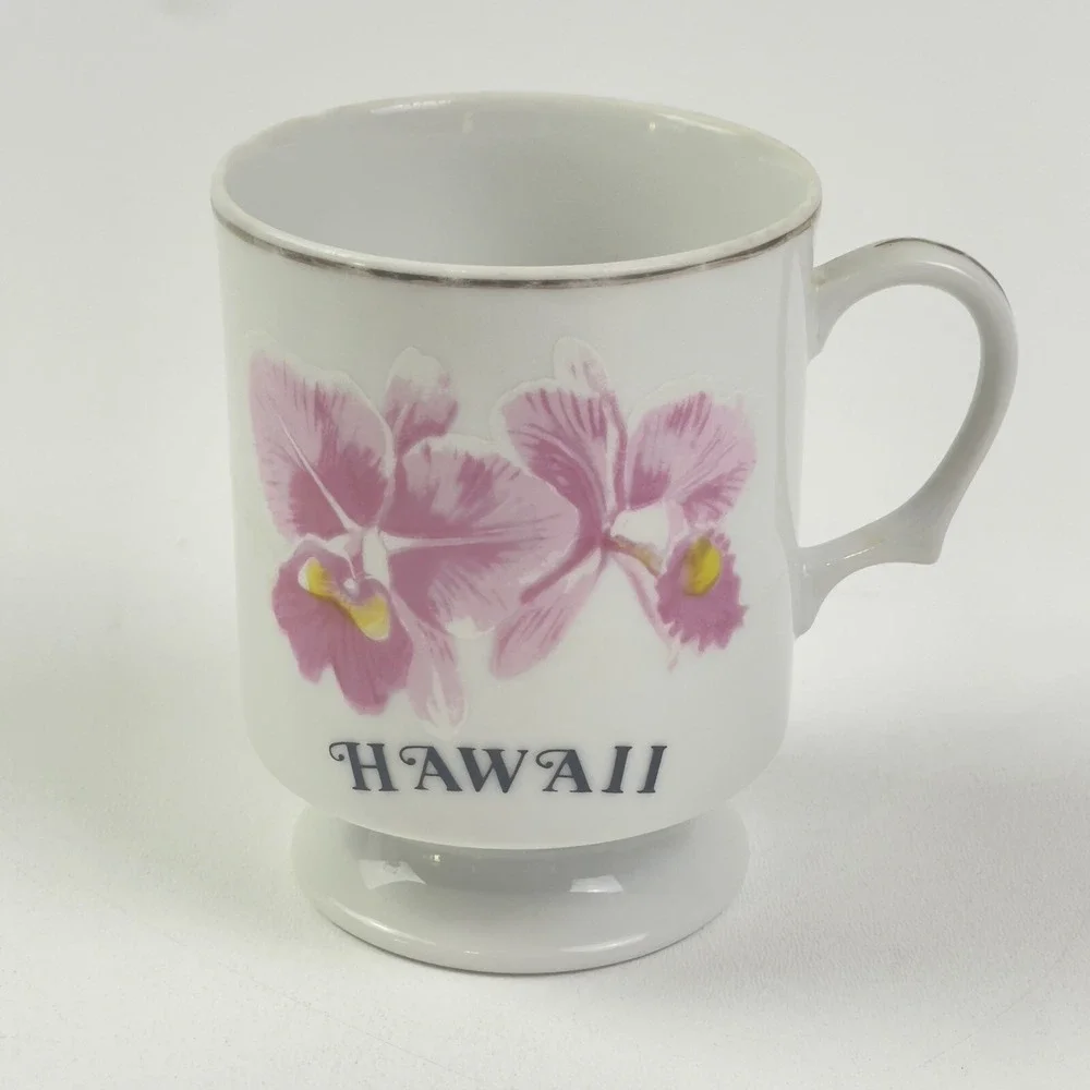 Vintage Souvenir Hawaii Pink Hibiscus Flower Gold Pedestal Coffee Cup Porcelain